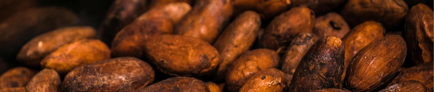 産地で選ぶカカオ