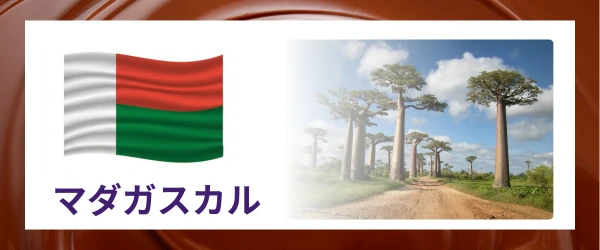 マダガスカル｜産地で選ぶカカオ